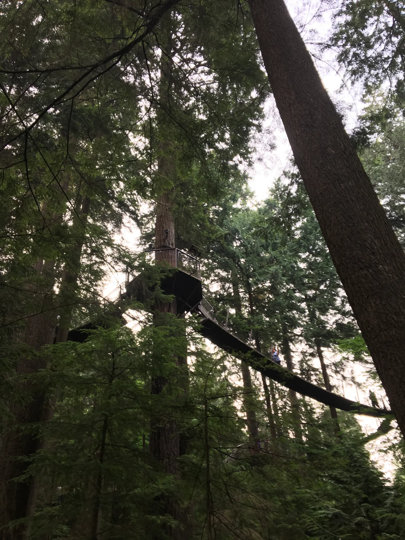 溫哥華之旅 北溫Deep Cove Kayaking、露天電影-Day 5照片 10