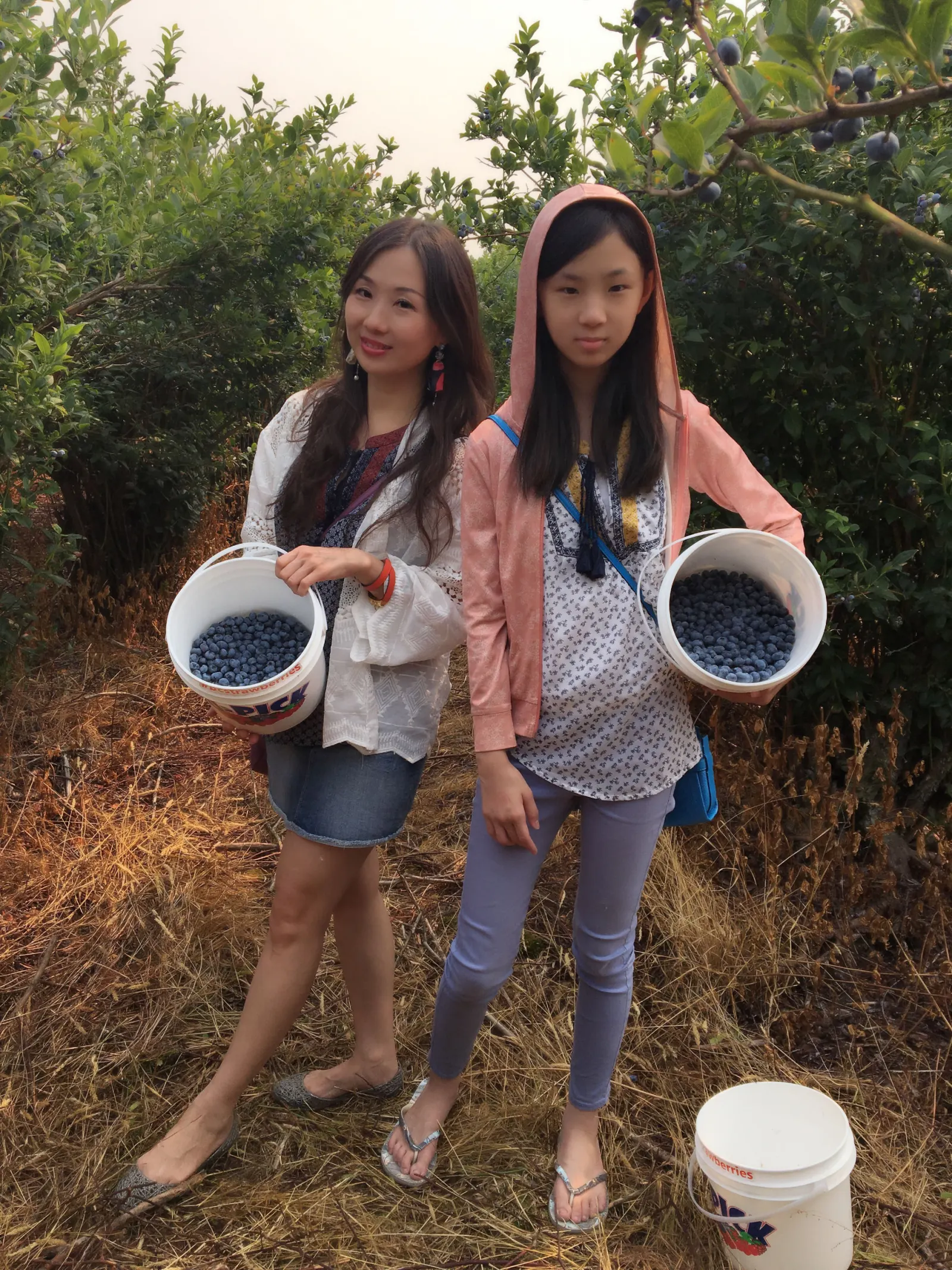 溫哥華之旅 採藍莓-Day 6