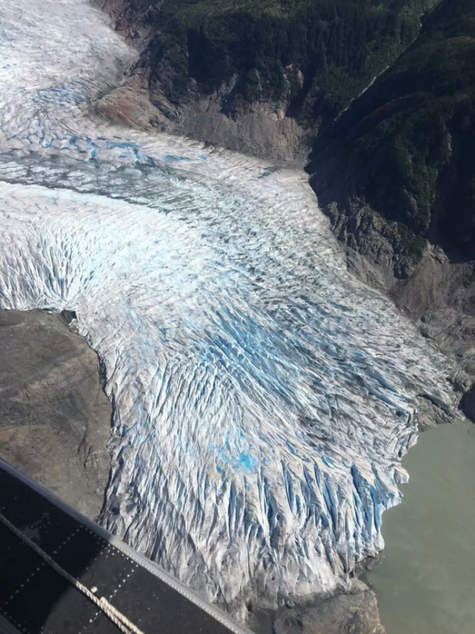 「遊輪」阿拉斯加 首都 Juneau-Day 5照片 16